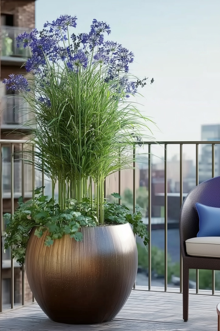 Pair Tall Grasses with Petunia for Striking Height Contrast